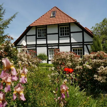 Ferienwohnung Weserblick Polle Exterior photo